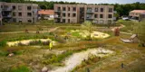 Grønt område i boligafdelingen Tømmerup Parken på Amager